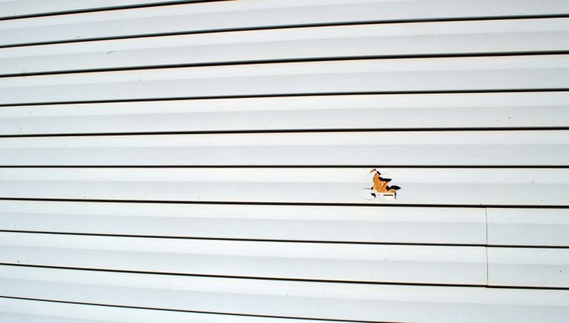 Seamless Repair Work